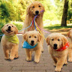 Meet your Posher, Carolyn